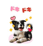 BIGスタンプ ボーダーコリーの子犬（個別スタンプ：31）