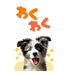 BIGスタンプ ボーダーコリーの子犬（個別スタンプ：32）