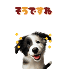 BIGスタンプ ボーダーコリーの子犬（個別スタンプ：35）