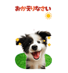 BIGスタンプ ボーダーコリーの子犬（個別スタンプ：39）