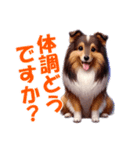 可愛い犬が、素直な気持ちを伝えます♪（個別スタンプ：3）