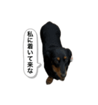 最恐なマドレンヌの日常（個別スタンプ：3）
