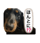 最恐なマドレンヌの日常（個別スタンプ：12）