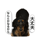 最恐なマドレンヌの日常（個別スタンプ：13）