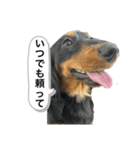 最恐なマドレンヌの日常（個別スタンプ：14）