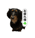最恐なマドレンヌの日常（個別スタンプ：18）