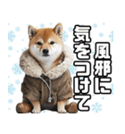 寒がりなシバ犬。（個別スタンプ：1）