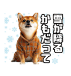 寒がりなシバ犬。（個別スタンプ：14）