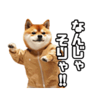 寒がりなシバ犬。（個別スタンプ：19）