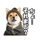 寒がりなシバ犬。（個別スタンプ：22）