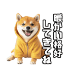 寒がりなシバ犬。（個別スタンプ：23）