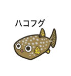 魚のスタンプ、（個別スタンプ：1）