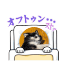 いとしのちわわ1（個別スタンプ：18）