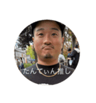 たんてぃん推しのけんぞう（個別スタンプ：8）