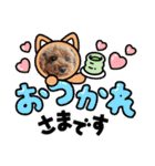 トイプードルトムの日常スタンプ（個別スタンプ：3）
