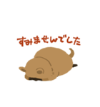 元気でいてね、クアッカワラビー2（個別スタンプ：7）