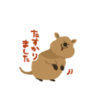 元気でいてね、クアッカワラビー2（個別スタンプ：24）