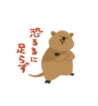 元気でいてね、クアッカワラビー2（個別スタンプ：28）