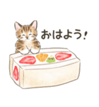 毎日・スイーツいっぱい☆猫たちのスタンプ（個別スタンプ：17）