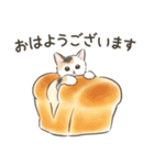 毎日・スイーツいっぱい☆猫たちのスタンプ（個別スタンプ：18）