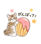 毎日・スイーツいっぱい☆猫たちのスタンプ（個別スタンプ：34）