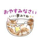 毎日・スイーツいっぱい☆猫たちのスタンプ（個別スタンプ：38）