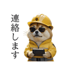 サングラス豆柴と柴犬（個別スタンプ：20）