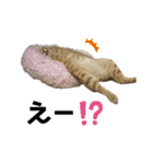 ムーくんの日常会話（個別スタンプ：8）