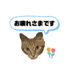 ムーくんの日常会話（個別スタンプ：12）