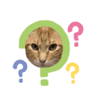 ムーくんの日常会話（個別スタンプ：16）