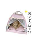 ムーくんの日常会話（個別スタンプ：17）