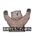 クマでth（クマです）（個別スタンプ：7）