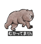 クマでth（クマです）（個別スタンプ：12）