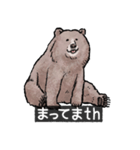 クマでth（クマです）（個別スタンプ：13）