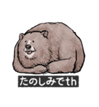 クマでth（クマです）（個別スタンプ：15）