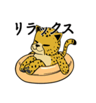 チーターのしっぽしぐさ（個別スタンプ：21）