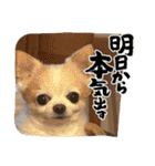 この世の悪★ザ・うーちー2！！（個別スタンプ：1）