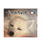 この世の悪★ザ・うーちー2！！（個別スタンプ：8）