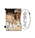 この世の悪★ザ・うーちー2！！（個別スタンプ：11）