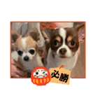 この世の悪★ザ・うーちー2！！（個別スタンプ：17）