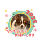 この世の悪★ザ・うーちー2！！（個別スタンプ：18）