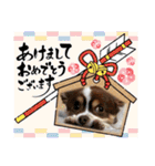 この世の悪★ザ・うーちー2！！（個別スタンプ：20）