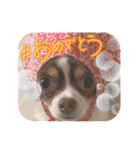この世の悪★ザ・うーちー2！！（個別スタンプ：23）