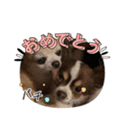 この世の悪★ザ・うーちー2！！（個別スタンプ：24）