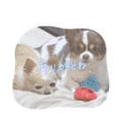 この世の悪★ザ・うーちー2！！（個別スタンプ：25）