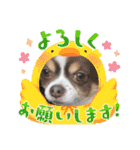 この世の悪★ザ・うーちー2！！（個別スタンプ：28）