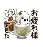 シーズー犬 2025『食べ物大好き』（個別スタンプ：14）