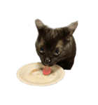お猫ども（個別スタンプ：13）