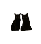 お猫ども（個別スタンプ：19）
