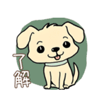 日常で使える！かわいい犬たち2（個別スタンプ：1）